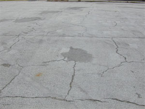 Overview photo showing a pattern of unsealed block cracking. In the photo, some individual cracks in the block cracking pattern are noticeably spalled.
