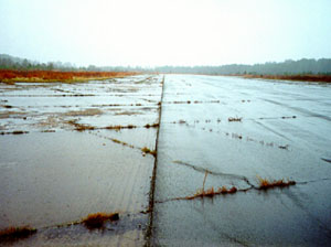 Overview photo of an apron pavement with a uniform rectangular pattern of high-severity transverse and longitudinal cracks. The pattern is the result of cracks that have reflected through the asphalt surface at the joints of the PCC slabs below. In the photo, the cracks appear to be very wide, and most have grass growing in them.