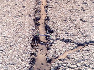 Close-up photo of a single high-severity crack. The crack is sealed, but very wide (i.e., greater than 1 in (25 mm).
